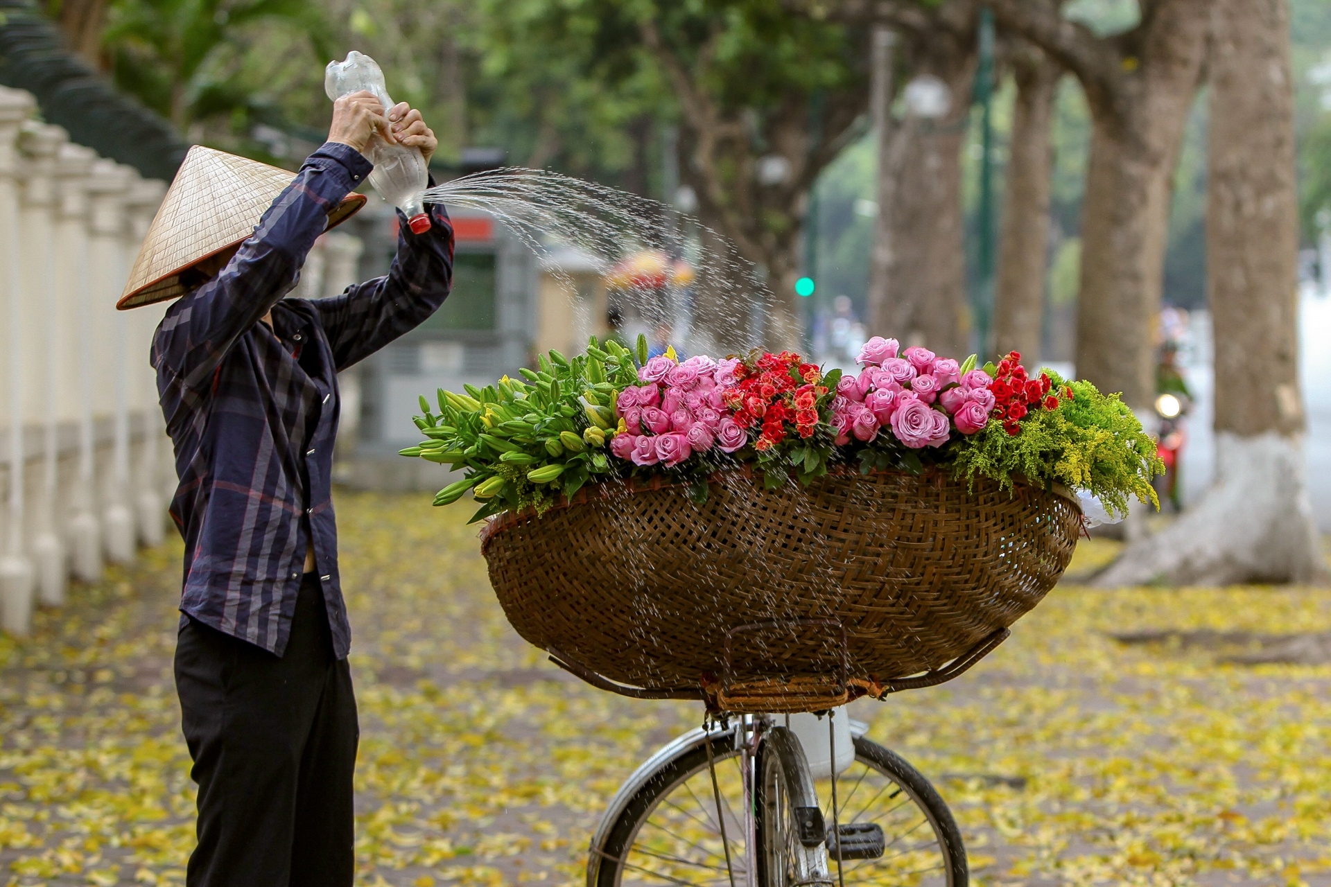 Graceful Hanoi in autumn days Graceful Hanoi in autumn days