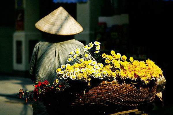 undefined 2127 nguoi ha noi