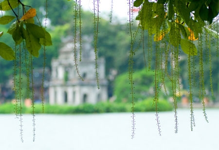 undefined 2206 hanoi