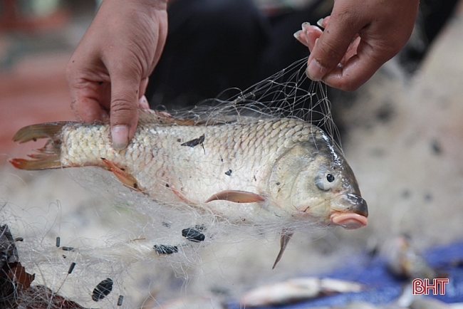 Flood season in Da Nang: Locals joyfully take to the street to ‘catch fish’
