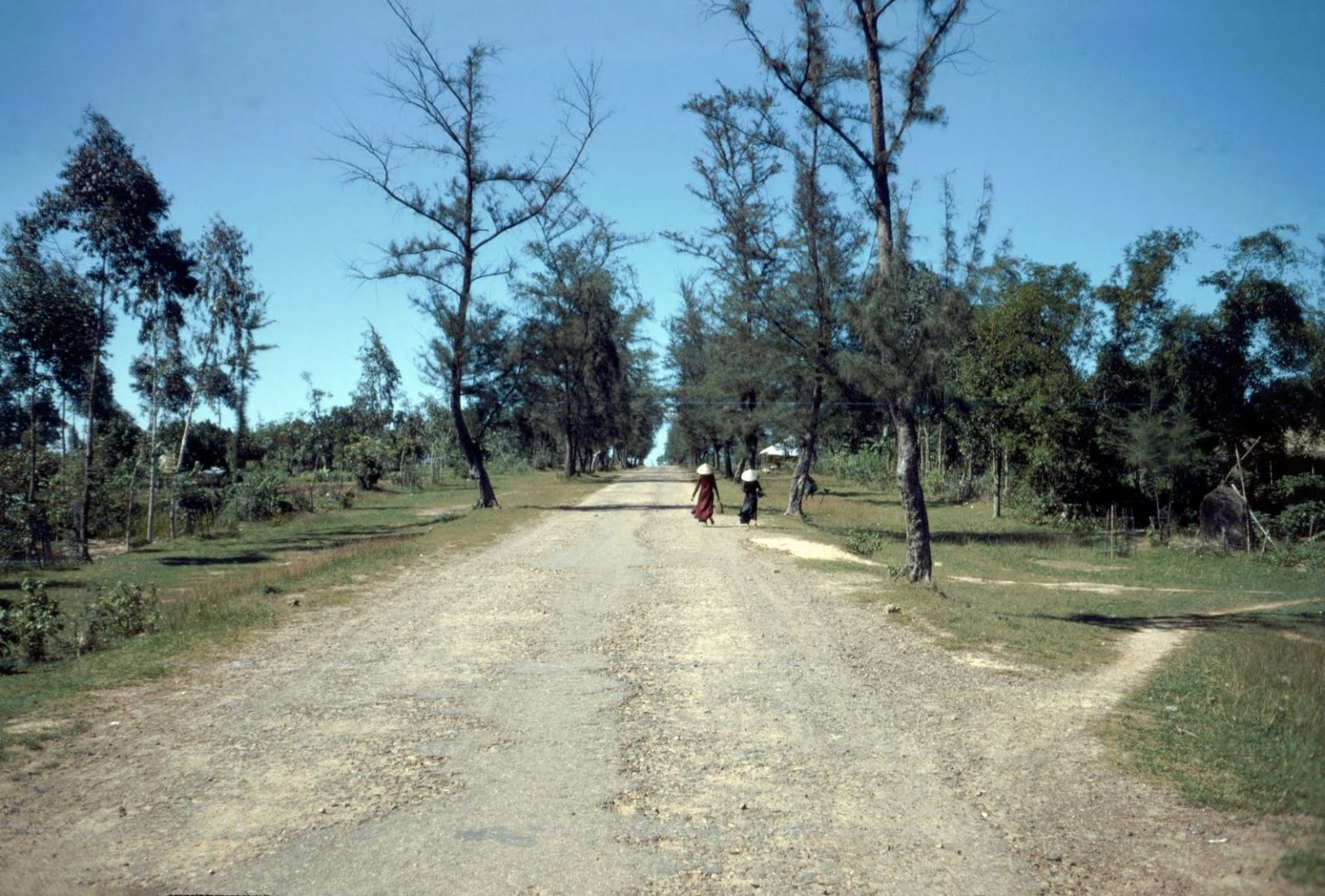 Rare color photos of Quang Tri province in 1960s Rare color photos of Quang Tri province in 1960s