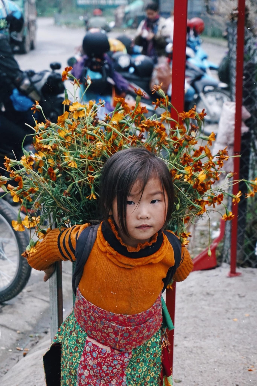 4 alluring mountainous areas in Vietnam to conquer as winter draws near 4 alluring mountainous areas in Vietnam to conquer as winter draws near