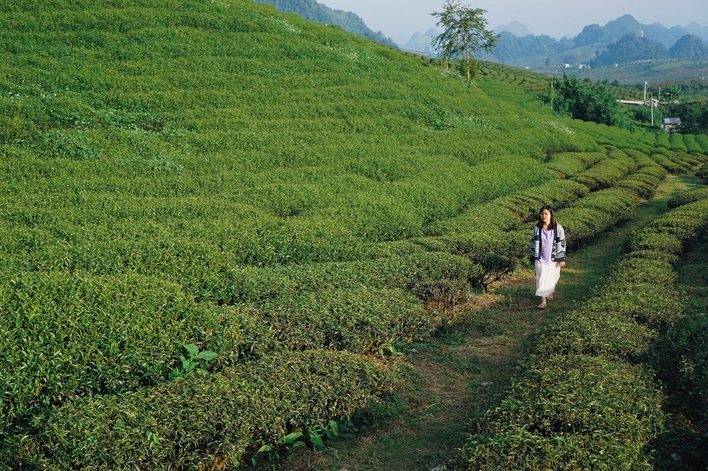 4 alluring mountainous areas in Vietnam to conquer as winter draws near 4 alluring mountainous areas in Vietnam to conquer as winter draws near