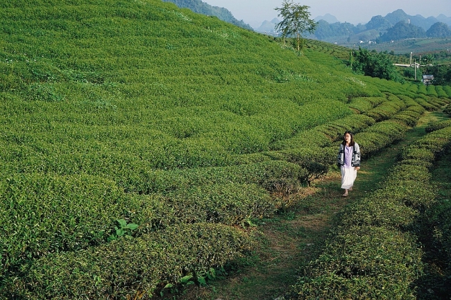 4 alluring mountainous areas in Vietnam to conquer as winter draws near
