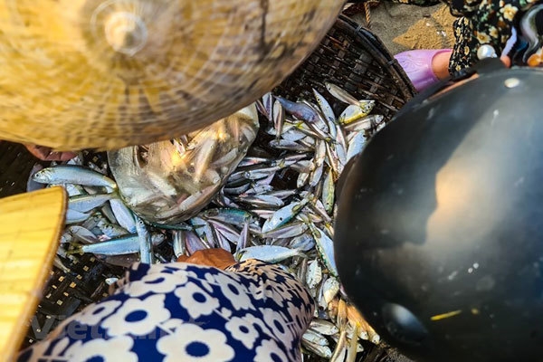 Off-the-beaten-track fishing village in Sam Son Beach