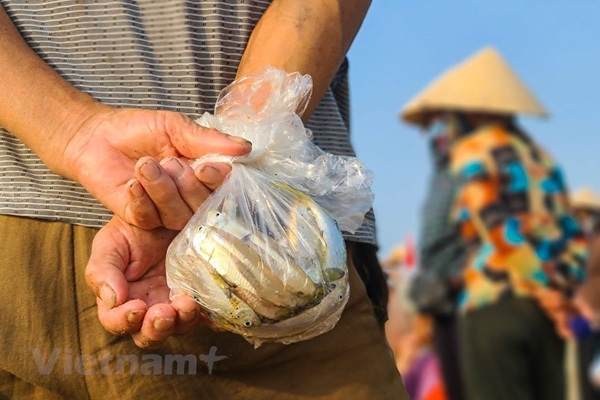 Off-the-beaten-track fishing village in Sam Son Beach