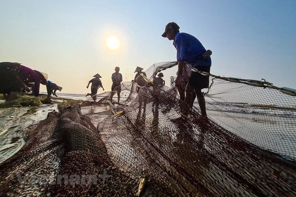 Off-the-beaten-track fishing village in Sam Son Beach