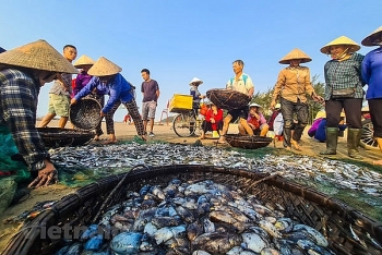 Off-the-beaten-track fishing village in Sam Son Beach