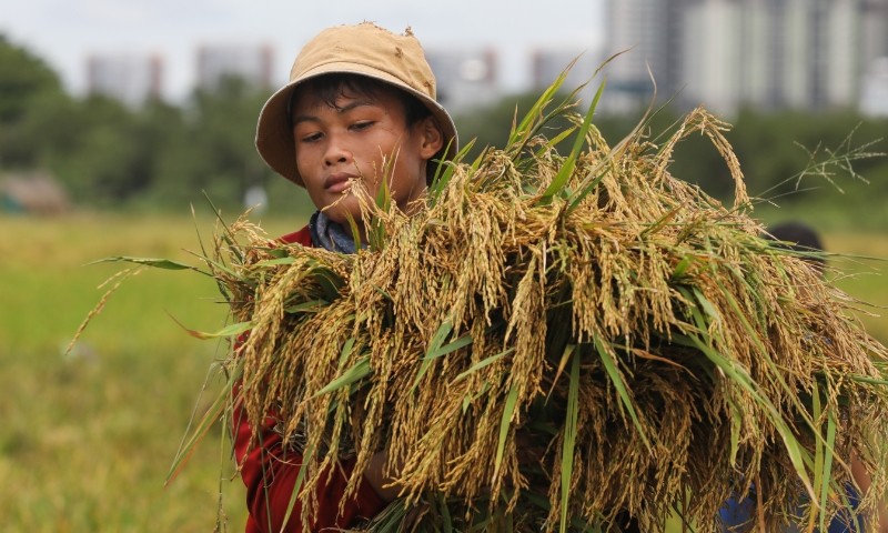 Vietnam’s Expects Quick GDP Rebound Despite Recent Drop