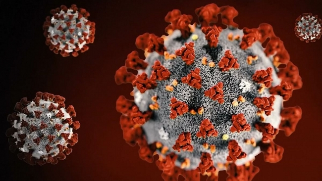 Researchers: Covid-19 found in male testicles