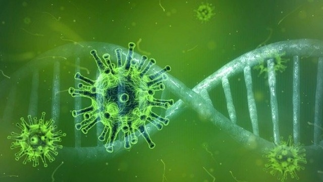 The virus has mutated at a quick pace inside the patient's body during 5 months of infection (photo: technology networks) 