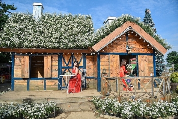 unique daisy house in hanoi gives spotlight for photo lovers