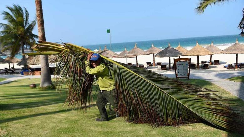 First International Tourists Touch Down in Vietnam After Nearly 20 Months of Travel Ban