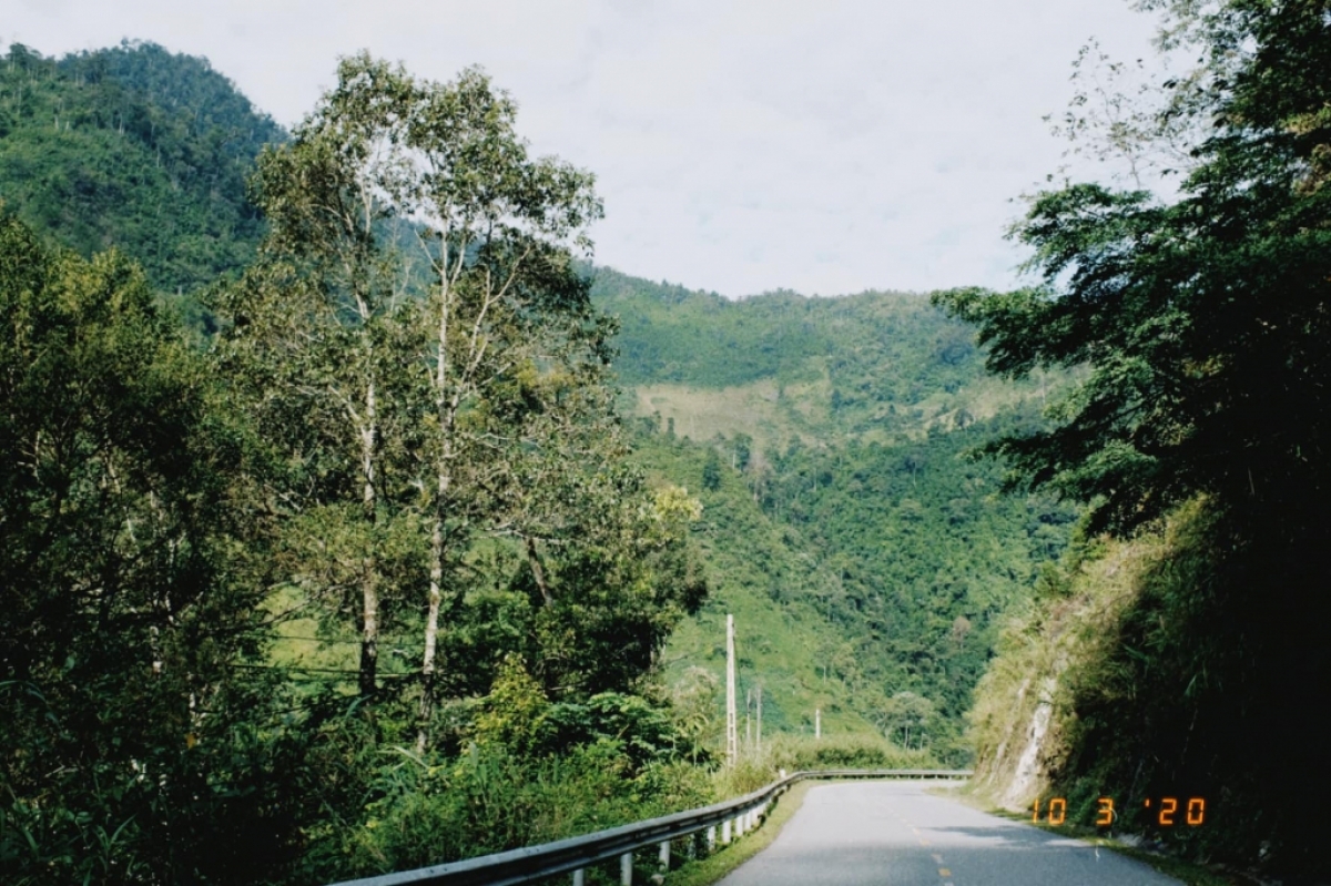 Irresitible year-round beauty of Tay Bac