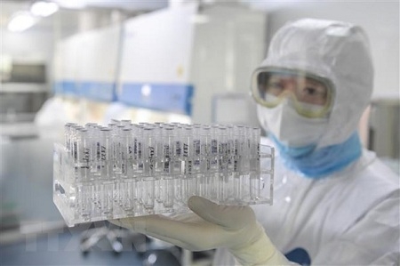 A Vietnamese researcher working on COVID-19 vaccine (Photo: VNA) 