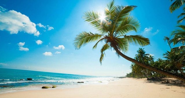 Phu quoc is a popular tourist attraction in vietnam (photo: kite travel) 