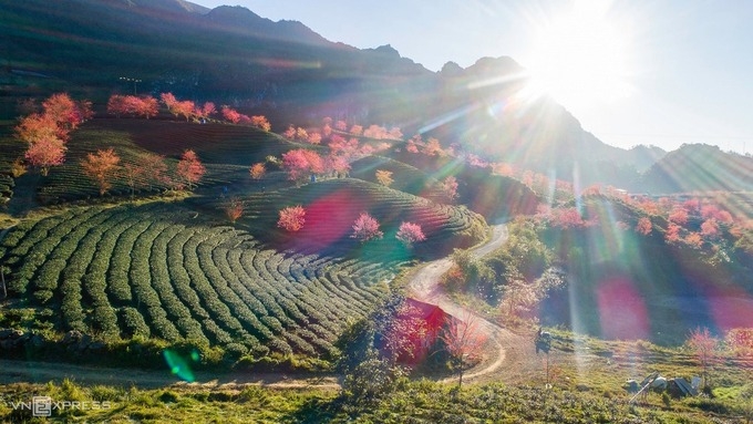 Cat Ba is Vietnam's most-interested destination in 2020 Cat Ba is Vietnam's most-interested destination in 2020