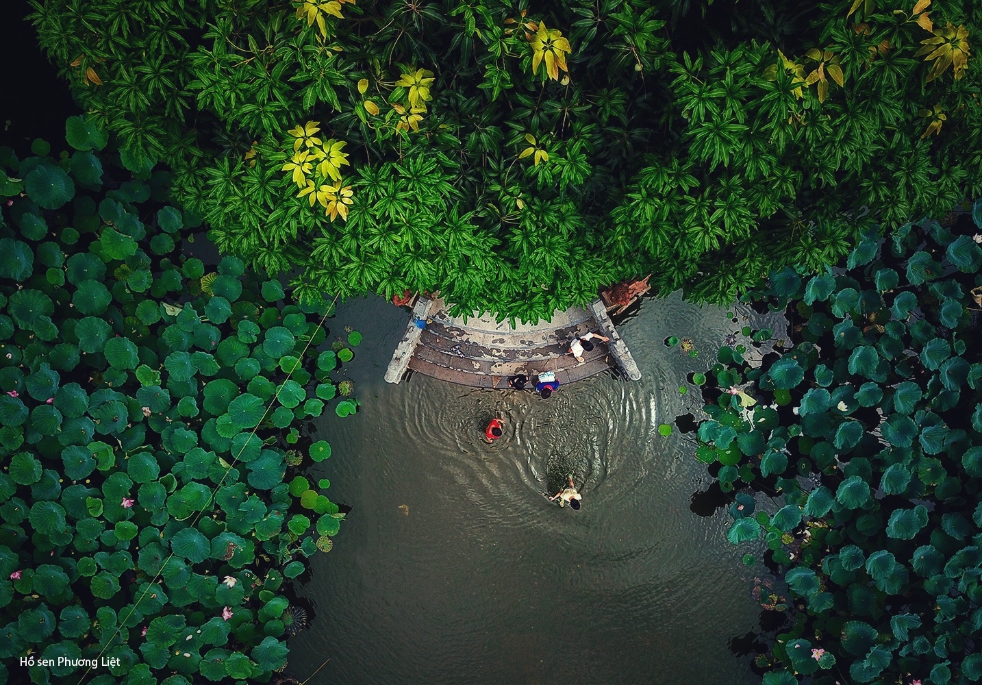 Breathtaking ponds, lakes for iry escapes in the middle of Hanoi