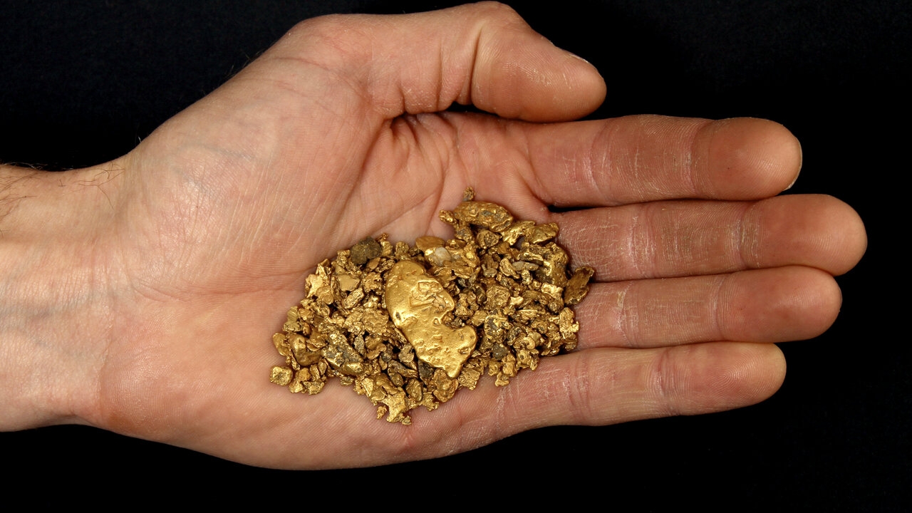 1013 gold