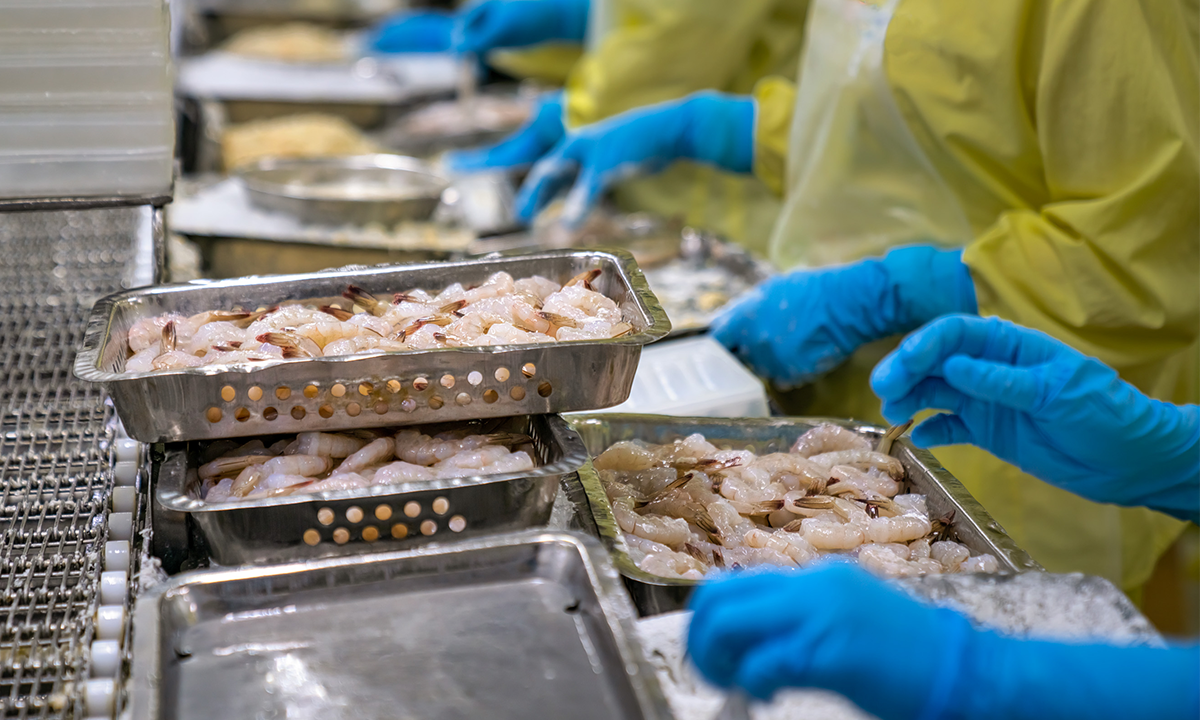 Workers process shrimps at a factory in Ho Chi Minh City (Photo: Shutter Stock)  