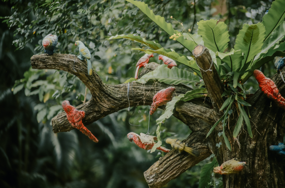 the evergreen ness of hcmcs zoo and botanical garden
