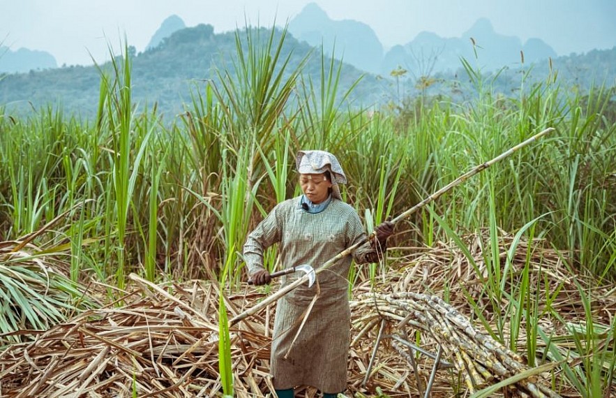 Brown Rock Sugar Craft Village in Northeast Vietnam