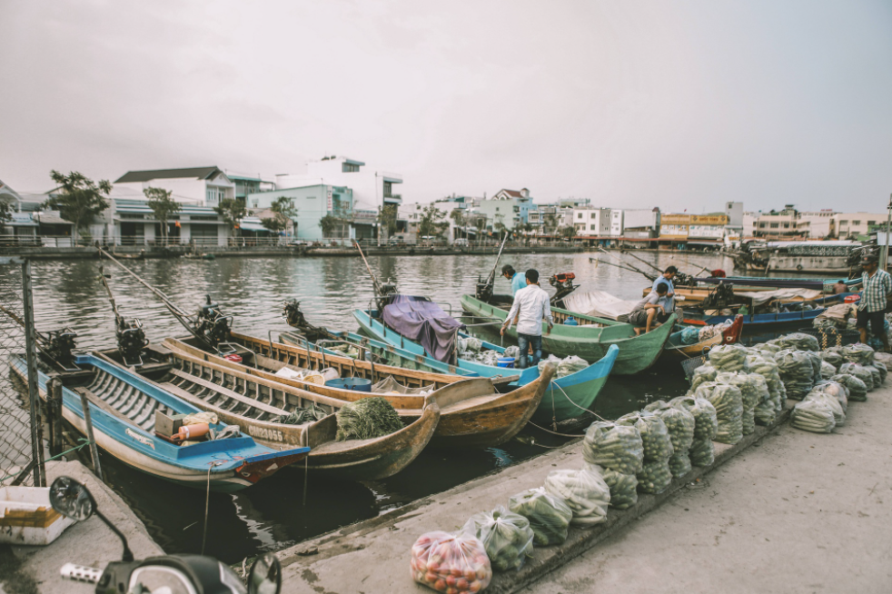 Ca Mau's rustic beauty through young photographer's lenses