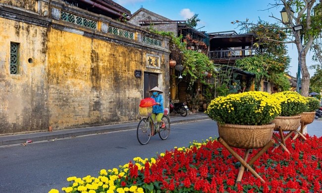 Spring Comes to Hoi An Old Streets