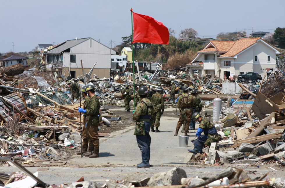 Ten years passed since "2011 earthquake off the Pacific coast of Tōhoku": Flowers has bloomed