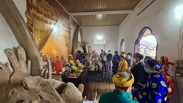 Worshiping the Whale: Unique Cultural Beliefs of Quang Binh's Coastal Villages