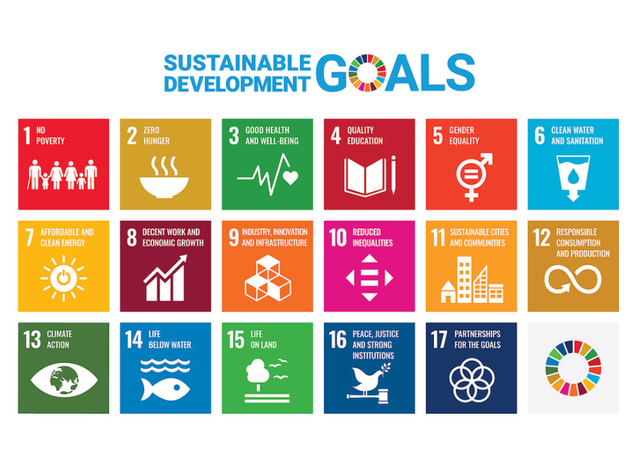 4 Vietnam universities gained high ranking for sustainable development