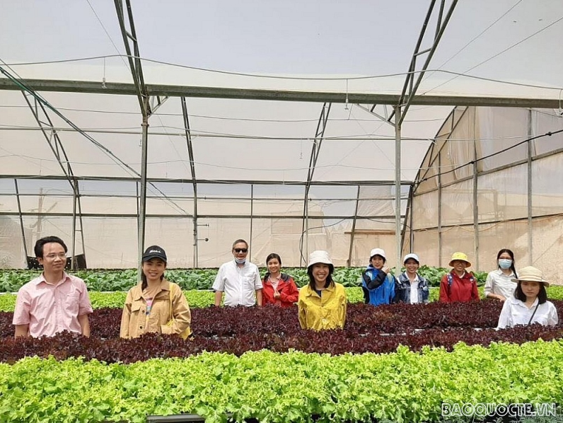 Vietnamese in Israel promote solidarity, bravery in Middle East 'fire pan'