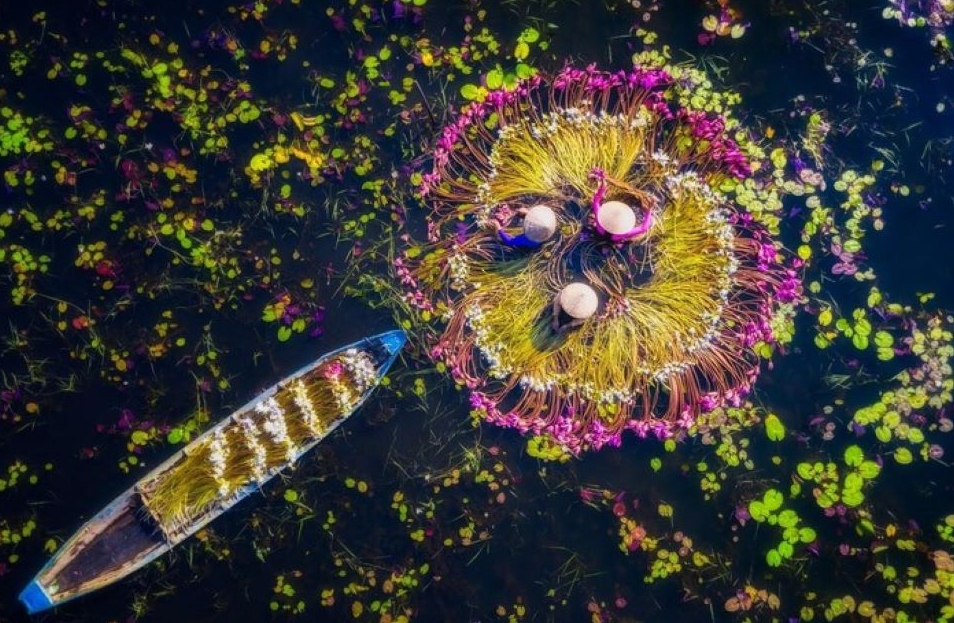 Photo contests spotlight Vietnam's beauty for Vietnamese and foreigners