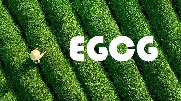 Zero Degree Green Tea: A Secret to Cooling the Body