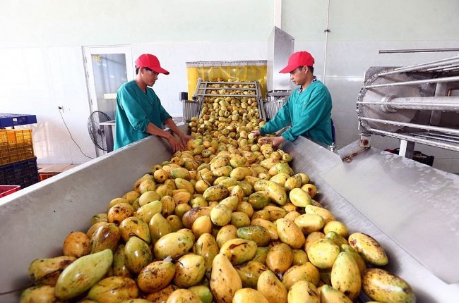 Vietnam Business & Weather Briefing (June 11): Rain continues in north and central regions.