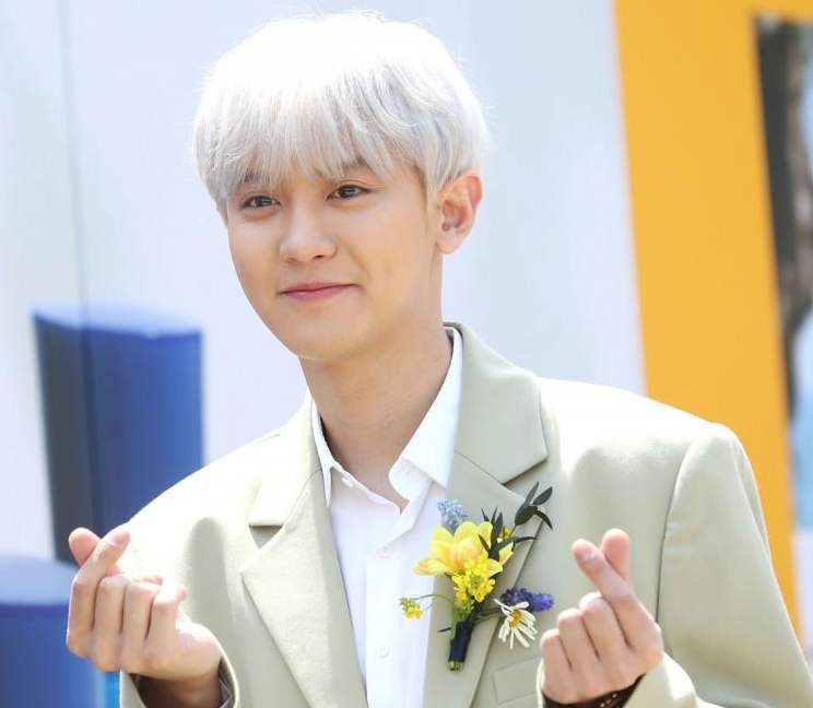 Top Most Popular Korean Idols in China