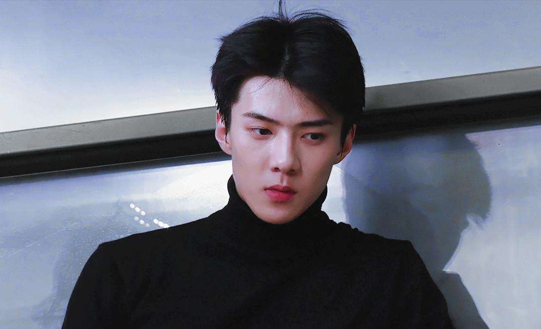 Top Most Popular Korean Idols in China