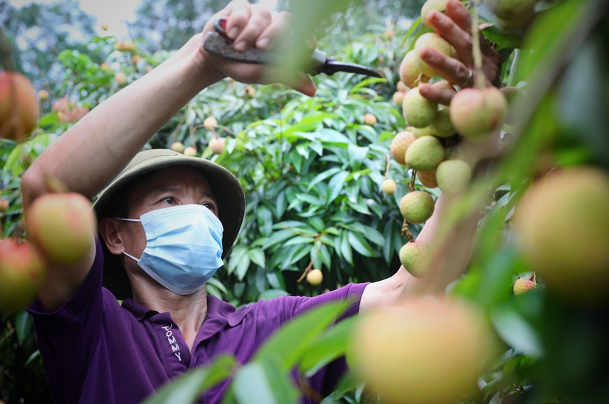 DBS Bank: Vietnam’s Economy Expected To Surpass Singapore's By 2030