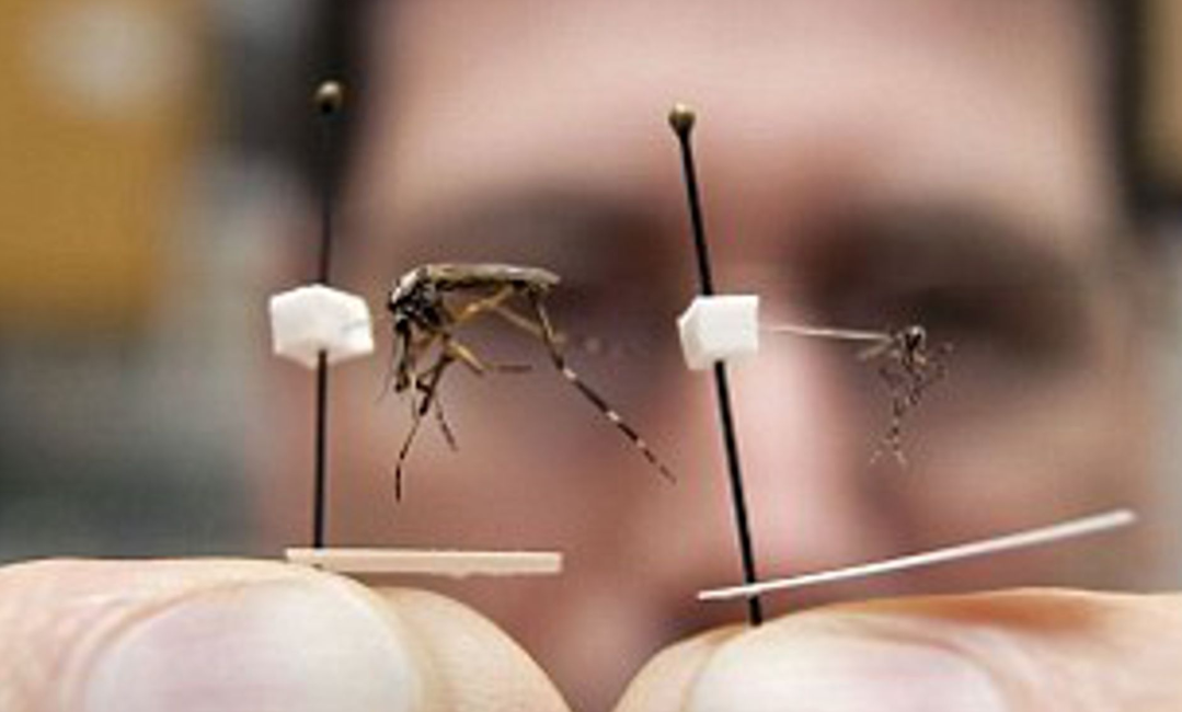 China battles another virus: Seven dead, 60 infected