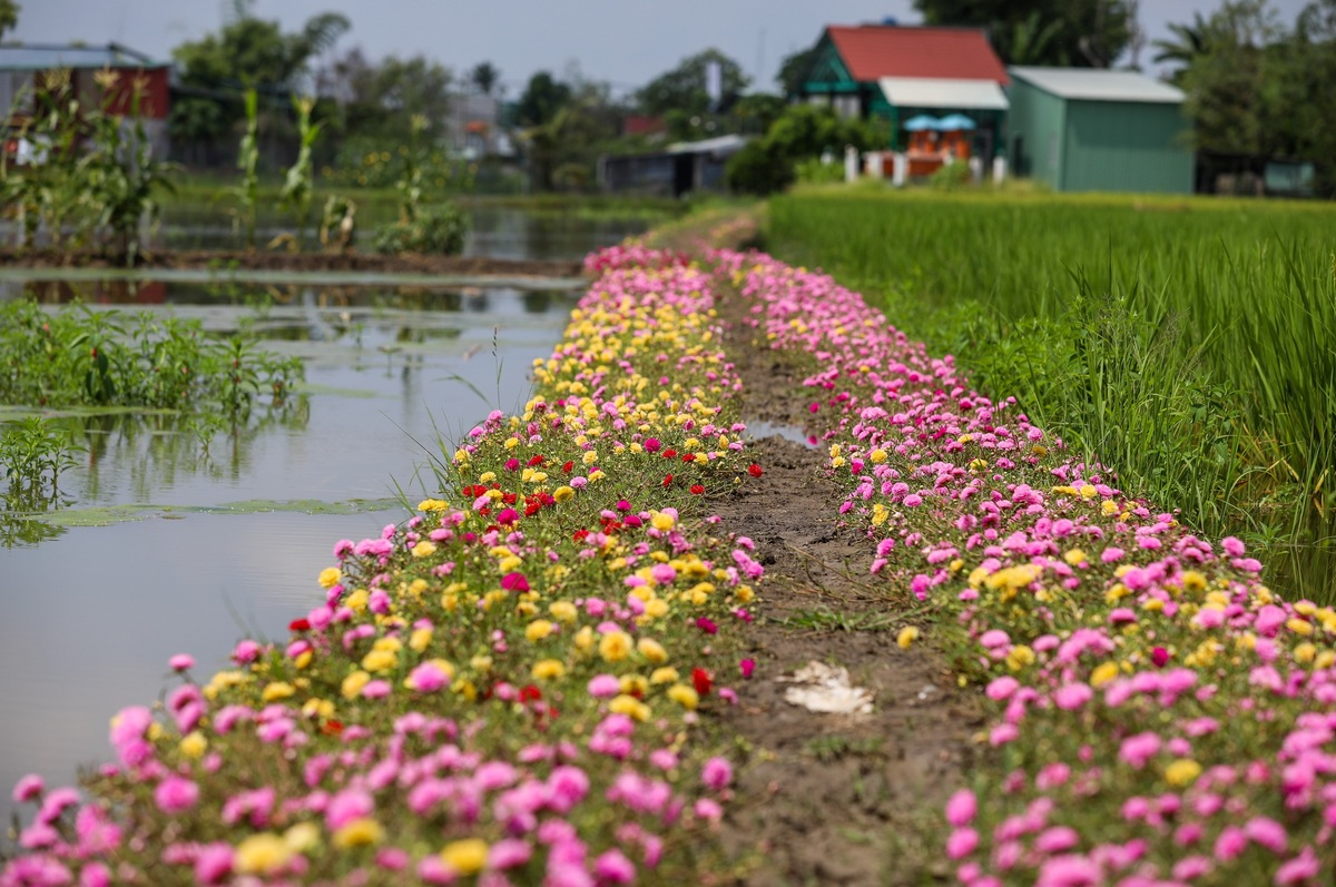 3357 duong hoa muoi gio4 1598020109