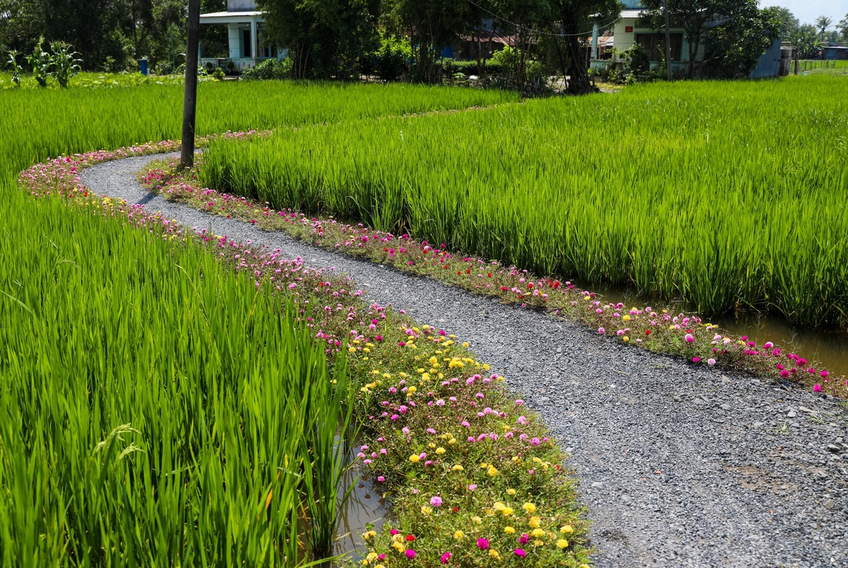 3546 duong hoa muoi gio9 1598020119