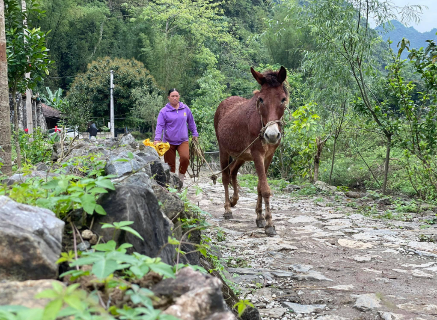 Ancient Stone Village in Cao Bang
