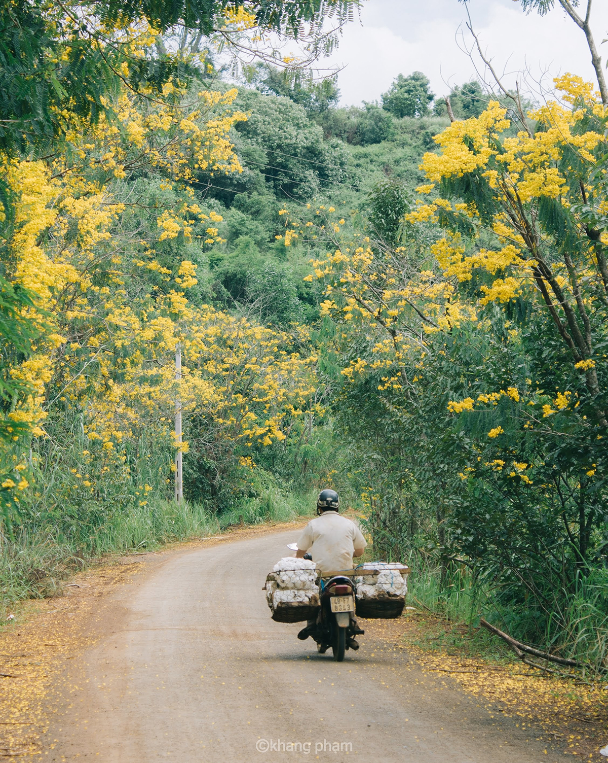 Dak Nong's Town of Golden Flowers