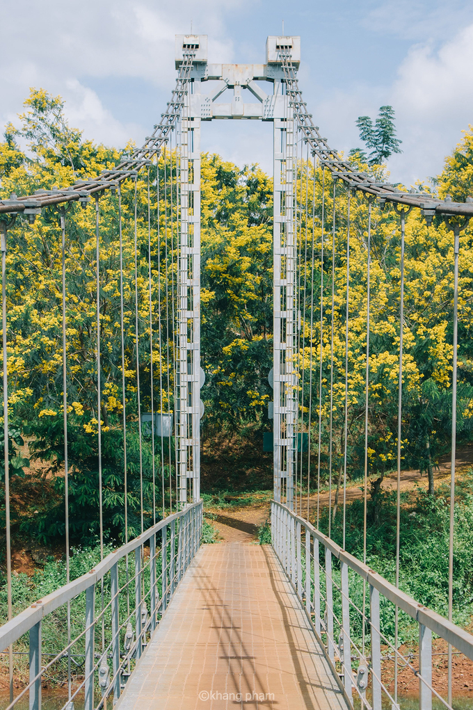 Dak Nong's Town of Golden Flowers