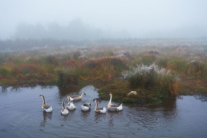 Photos: Vietnam's Remote Northeast Region Becomes a Winter Wonderland