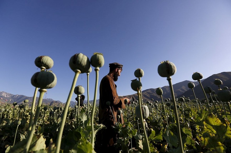 Who is Taliban - From a Group of Students to Regime Seizing Power in Afghanistan?
