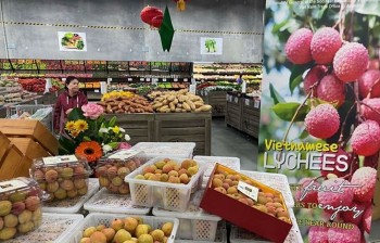 Vietnam’s Farm Produce Exports to Australia Surge