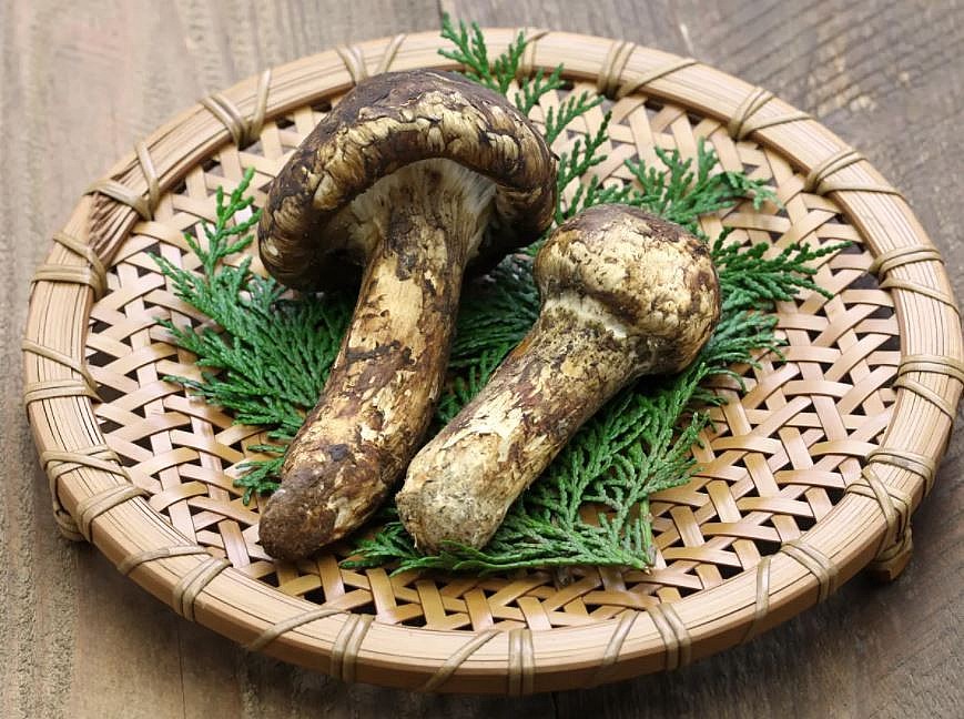 Autumn Signature Food Worldwide
