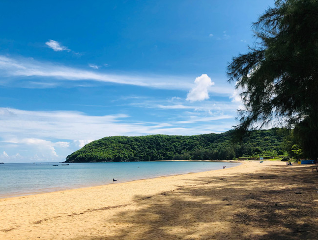 Discover Dam Trau - Con Dao's most beautiful beach