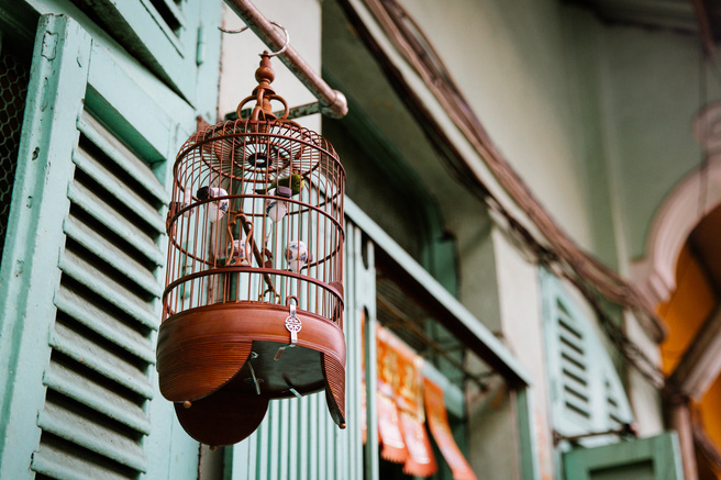 Exploring antique sight of Ho Chi Minh City's 100-year-old alley Exploring antique sight of Ho Chi Minh City's 100 year-old alley